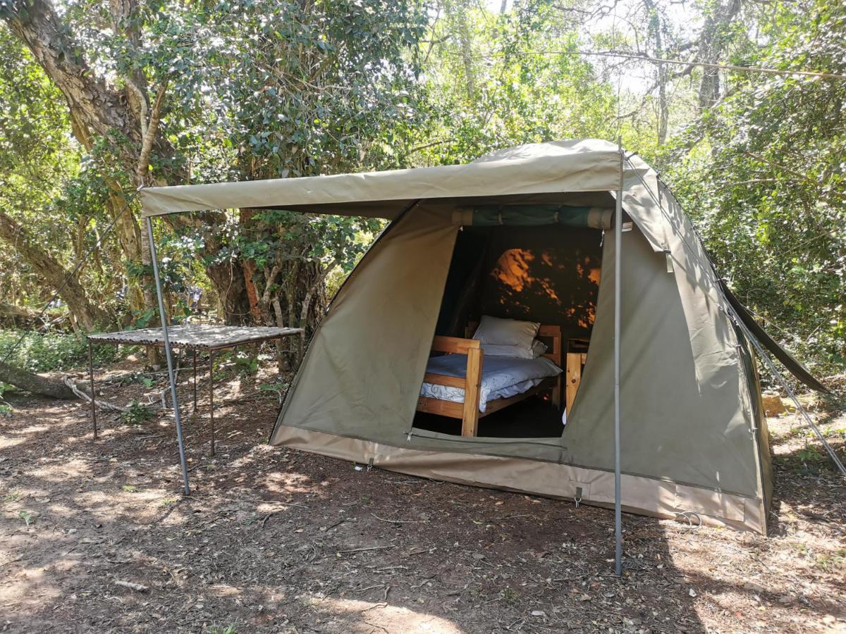 Fairy Knowe Backpackers Lodge 维德尼斯 外观 照片