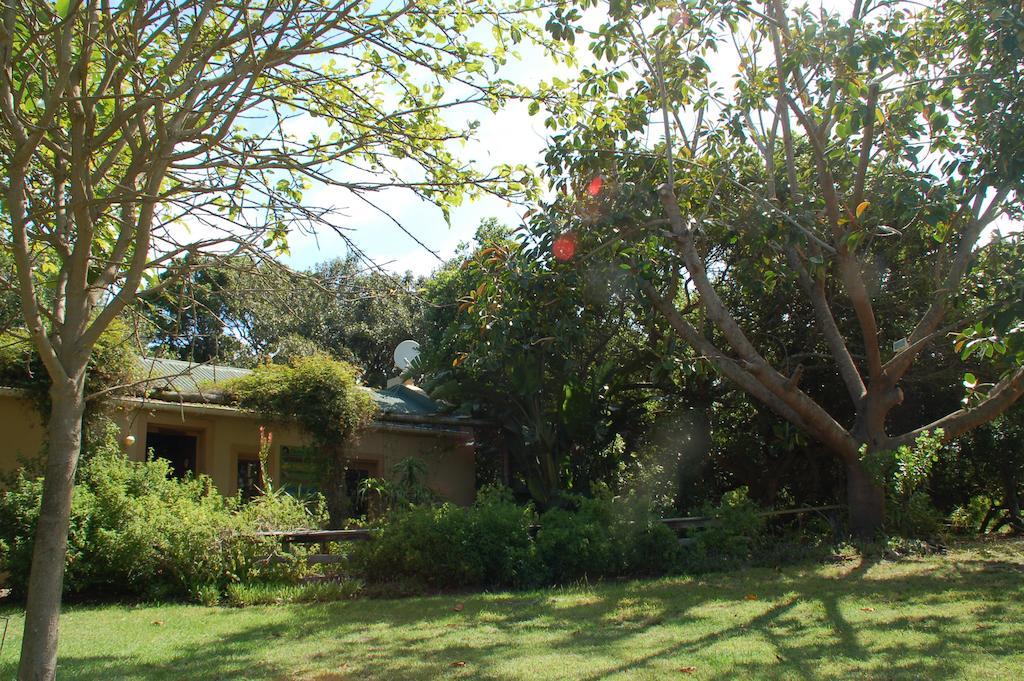 Fairy Knowe Backpackers Lodge 维德尼斯 外观 照片