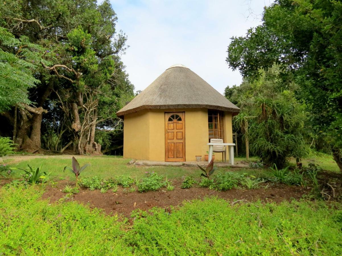 Fairy Knowe Backpackers Lodge 维德尼斯 外观 照片